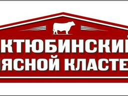 Мясо говядины