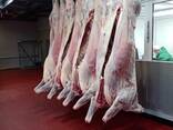 Мясо оптом - фото 1