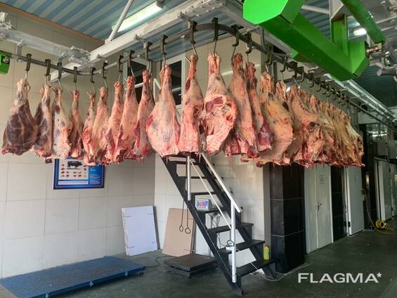 Мясо Говядины