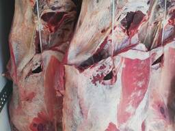 Мясо говядины