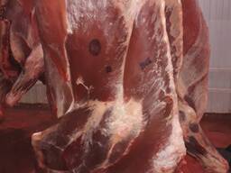 Мясо говядины