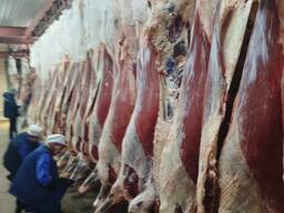 Мясо говядины