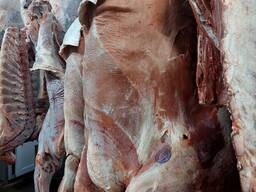 Мясо говядины Халяль