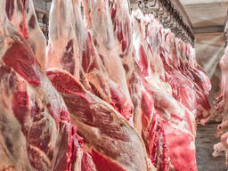 Мясо говядины ХАЛЯЛЬ (охлажденное/четвертины)