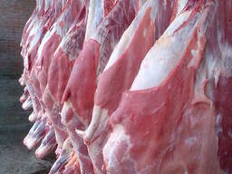 МЯСО ГОВЯДИНЫ. КОНИНЫ. СВИНИНЫ