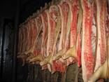 МЯСО ГОВЯДИНЫ. КОНИНЫ. СВИНИНЫ - фото 3