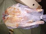 Мясо индейки (тушка) - photo 1