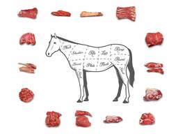 Мясо конина из Монголии