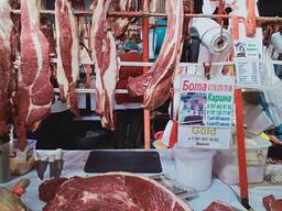 Мясо конины