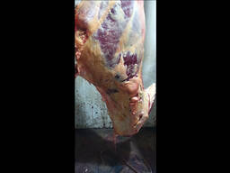 Мясо оптом Казахстан