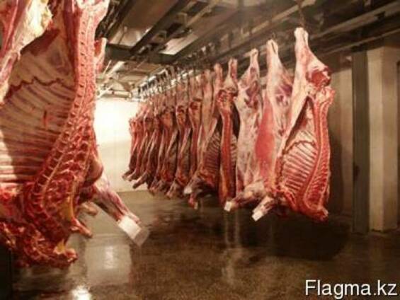 Мясо Замороженное и Охлажденное