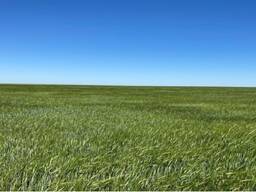 Крестьянское хозяйство 22467га Акмолинская