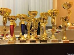 Награды, медали, кубки сувенирная продукция