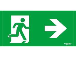 Наклейка для Rilux OVA50238E Schneider Electric