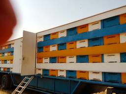 Натуральный мед, разных сортов