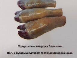 Ноги с путовым суставом КРС