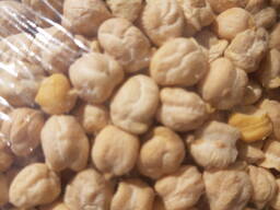 Нут , нухат , эронский сорт