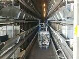 Оборудование для птицефабрики - фото 1