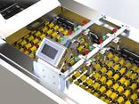 Оборудование для Сортировки яиц - photo 1