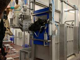 Оборудование и линии убоя КРС, свиней и овец — Revic, Польша