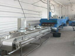 Оборудование мойки, жарки семечек