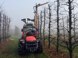 Обрезчик садовых деревьев ORIZZONTI FRUIT