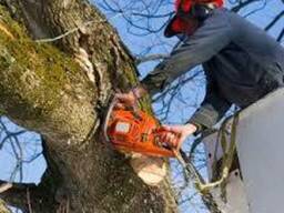 Обрезка деревьев, услуги автовышки до 35 метров