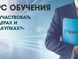 Обучение тендерам. Обучим тому как участвовать в тендерах .