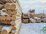 Домокомплекты из оцилидрованных брев 40(D)х6000-9000(L) мм, естественной и камерной сушки. - фото 3