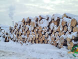 Домокомплекты из оцилидрованных брев 40(D)х6000-9000(L) мм, естественной и камерной сушки. - фото 1
