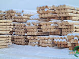 Домокомплекты из оцилидрованных бревн 20(D)х6000-9000(L) мм естественной и камерной сушки - фото 3