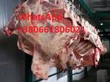 Оптом Говядина Мясо Халяль Украина Полу Туши Четверть - фото 4