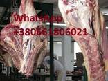 Оптом Говядина Мясо Халяль Украина Полу Туши Четверть - фото 5