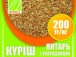 Оптом семена риса, люцерны и пшеницы - photo 1