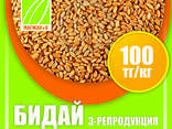 Семена риса и люцерны - photo 1
