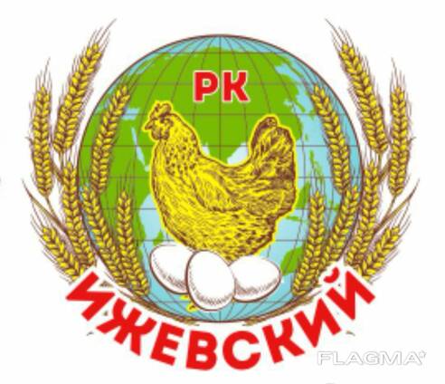 Яйца оптом от производителя