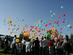 Организуем тимбилдинги