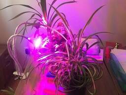 Освещение для роста и развития растений - Фитолампа 60 вт