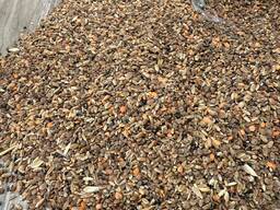 Отходы чечевичные (чечевица 32,8%, пшеница 18,4%)