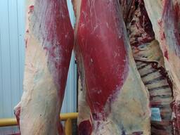 Отличная говядина!