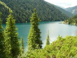 Озеро Кольсай Чарын