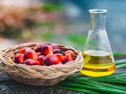 Пальмовое масло