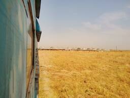 Парники и рыбы