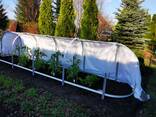 Парники и теплицы - фото 3