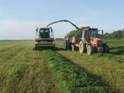 Пашни работающие в аренду Алматы 4300га