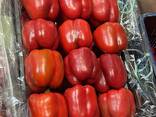 Перец свежий экспорт из Турции - photo 1