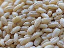 Перловая крупа