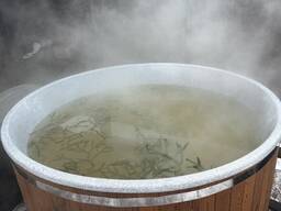 Пластиковая купель LIGHT 195 с подогревом в Казахстане