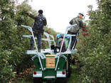 Платформа для сбора урожая и обрезки деревьев KROLIK NS-3 Superstructure - фото 3