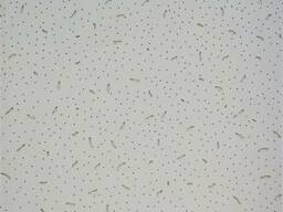 Линолеум коммерческий Forbo Emerald Standart